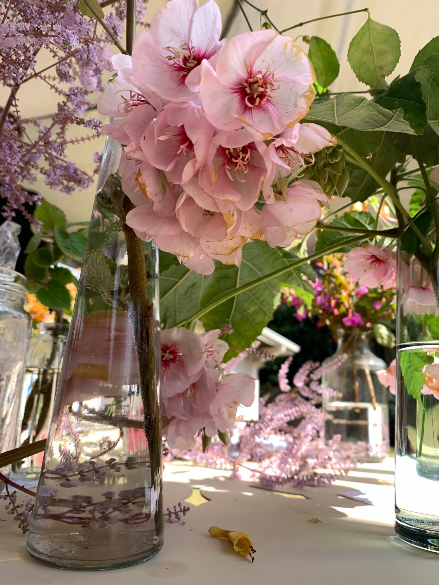 Pink garden blossoms